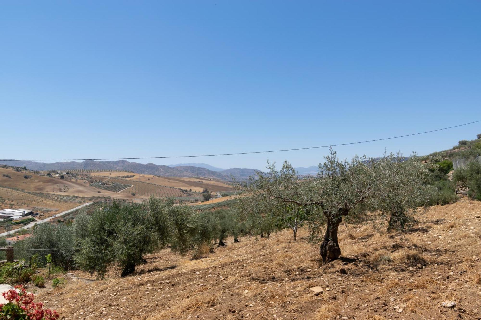 Casa Olivos - Caminito Del Rey Holiday home